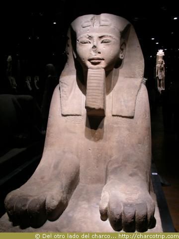 Esfinge del museo egipcio