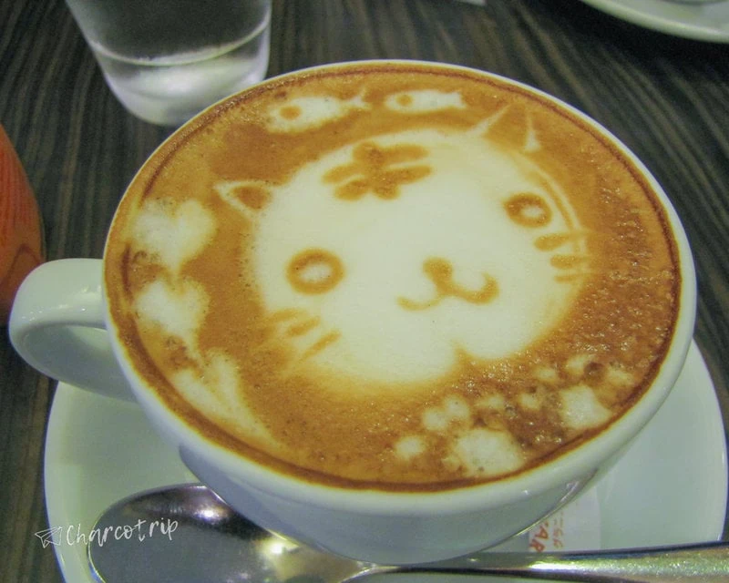 cafe latte art de gatito
