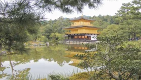 Kinkakuji, the Golden Temple you cannot miss in Kyoto