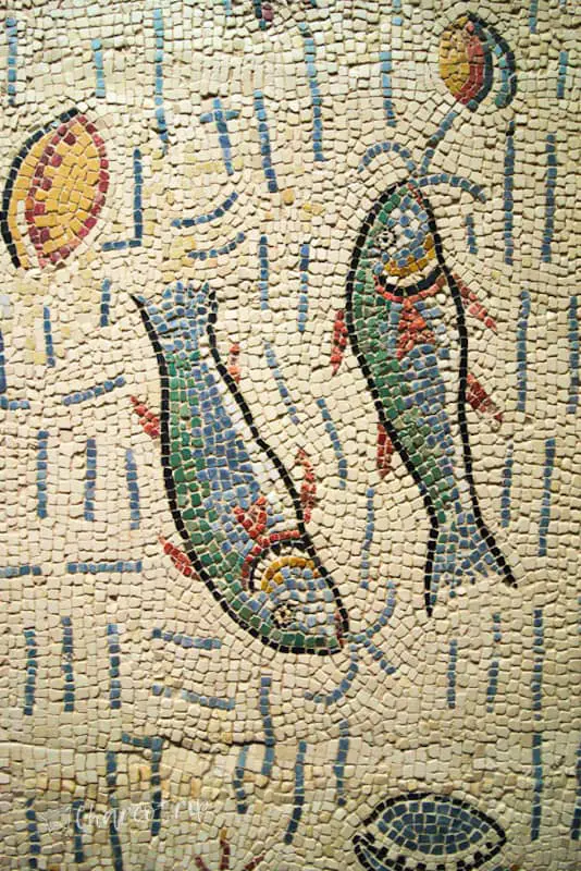Mosaico peces Museo de Lugdunum