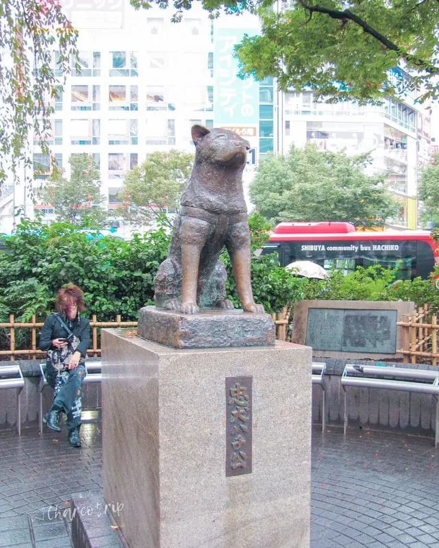 Hachiko en Shibuya