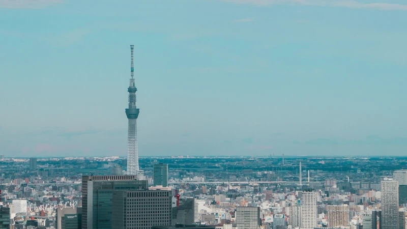 Vista desde la Torre de Tokio, se puede ver la Tokyo Skytree